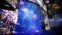 花と魚- 相模湾大水槽, Christmas / Flowers and Fish- Enoshima Aquarium Big Sagami Bay Tank, Christmas チームラボ, 2015, インタラクティブデジタルインスタレーション, 音楽：高橋英明