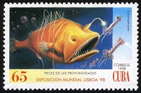 ヒレナガチョウチンアンコウの１種(誘因突起を光らせてイカをおびき寄せている)　キューバ　1998年　画像提供：切手の博物館