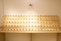 梅干しを100個並べた展示物(イメージ)
