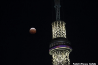 東京スカイツリーと赤銅色の皆既月食（イメージ） 