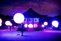 呼応する球体 – 下鴨神社 糺の森 /  Resonating Spheres – Forest of Tadasu at Shimogamo Shrine  teamLab, 2016, Interactive Installation, Endless, Sound: Hideaki Takahashi 