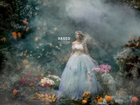 HASEO写真展『美しい写真絵本の世界』