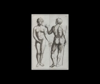 『ターヘル・アナトミア』　ヨハン・アダム・クルムス著　1734年　アムステルダム刊　1冊