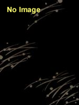 葛飾応為「吉原格子先之図」 光と影の美