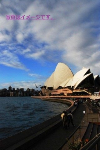 シドニー　シェイクスピアフェスティバル（Sydney Shakespeare Festival）