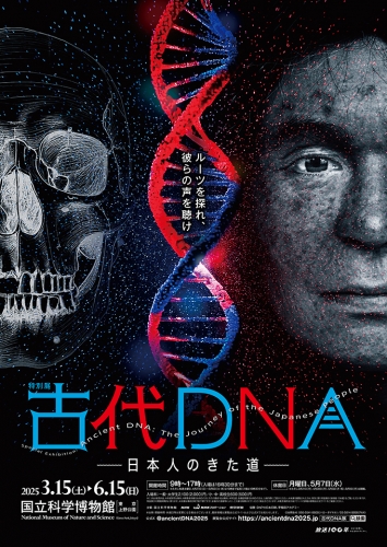 特別展「古代ＤＮＡ―日本人のきた道―」