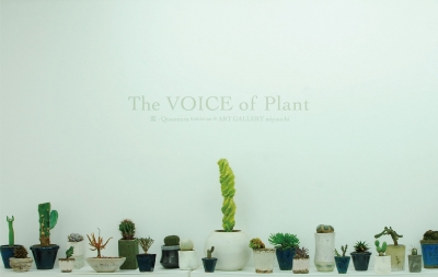 喋る、響く、植物の声。-The VOICE of Plant- 