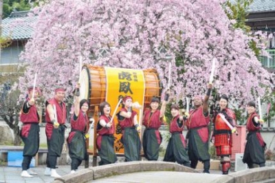 チャンバラ合戦×千本桜祭り
