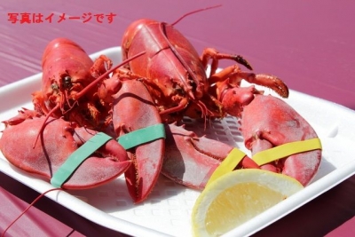 ロブスター・フェスティバル（The Port of Los Angels Lobster Festival)：アメリカ