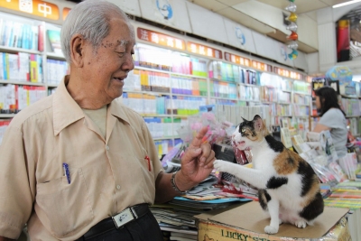 猫らおばん参上！　ホウトン猫村を歩け、台湾猫店主を探せ！