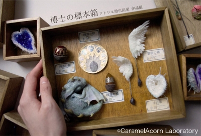 博士の標本箱