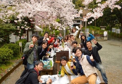 江戸花見名所の桜祭りで50人の桜の名曲大合唱フラッシュモブ花見！