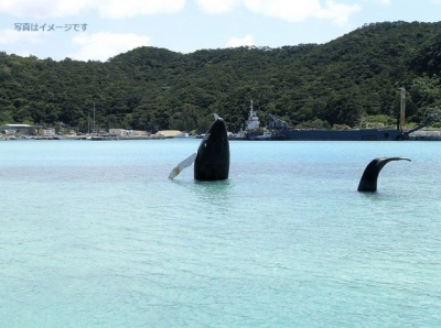 パシフィック リム ホエール フェスティバル（PACIFIC RIM WHALE FESTIVAL ）：カナダ