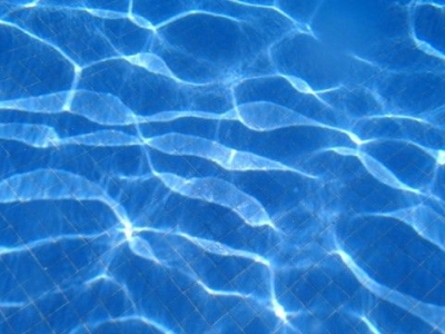 スペイン：第15回世界水泳選手権
