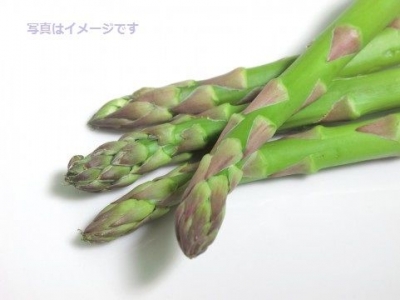 アスパラガス祭り（Stockton Asparagus Festival）：アメリカ