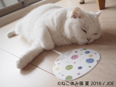 猫の合同写真＆物販展「ねこ休み展 夏 2016」