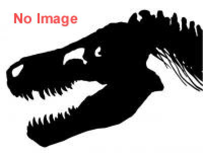 大恐竜展-ゴビ砂漠の驚異