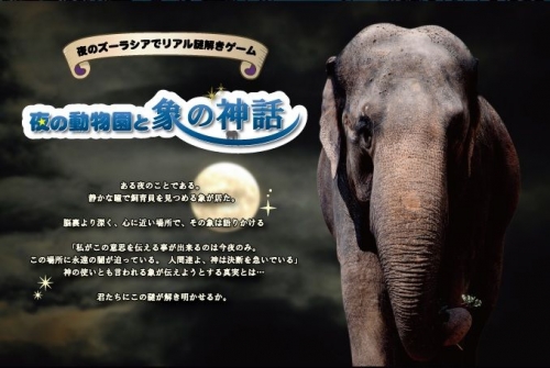 リアル謎解きゲーム inよこはま動物園ズーラシア　『夜の動物園と象の神話』