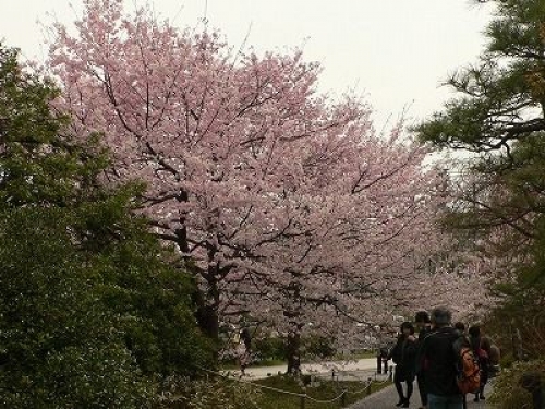 イベントフォト