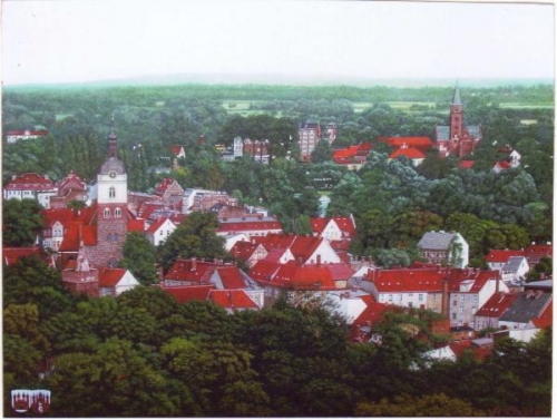 Brandenburg, Blick von Marien turm zu Altstadt und Dominsel ブランデンブルク市の眺望（２０１２年　油彩）