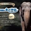 リアル謎解きゲーム inよこはま動物園ズーラシア　『夜の動物園と象の神話』
