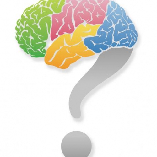 brainjack 〜怪盗Zからの謎解き挑戦状〜