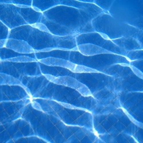 スペイン：第15回世界水泳選手権