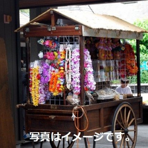 アメリカ・ハワイ：第67回アロハ・フェスティバル Aloha Festival