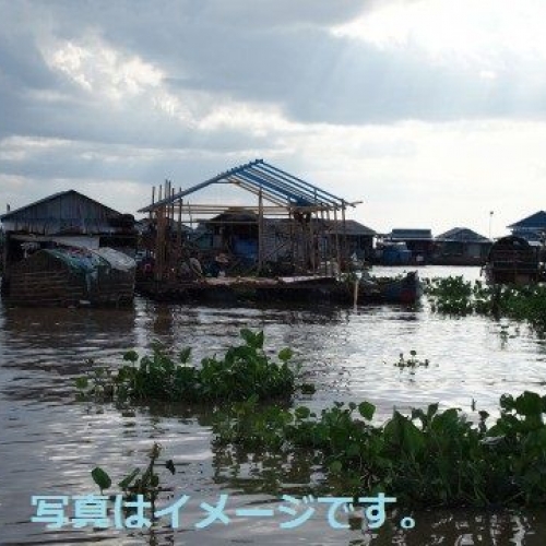 水祭り（Cambodian Water Festival 2013 – Bon Om Touk 2013）：カンボジア