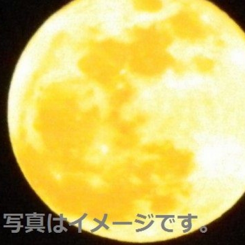 中秋節 Mid-Autumn Festival (Mooncake Day)：中国