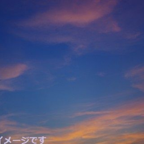 ライフ・イズ・ビューティフルフェスティバル（LIFE IS BEAUTIFUL FESTIVAL 2013）
