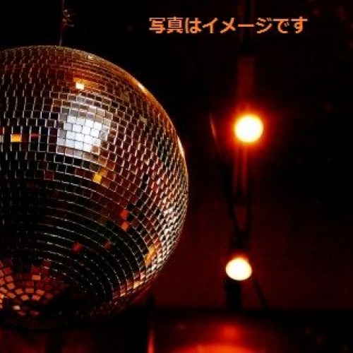 世界最大のディスコ（The World's Largest Disco）：アメリカ 