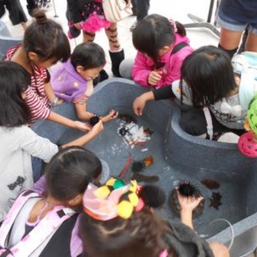 移動水族館がやってくる！ アメリカ山公園のハロウィン