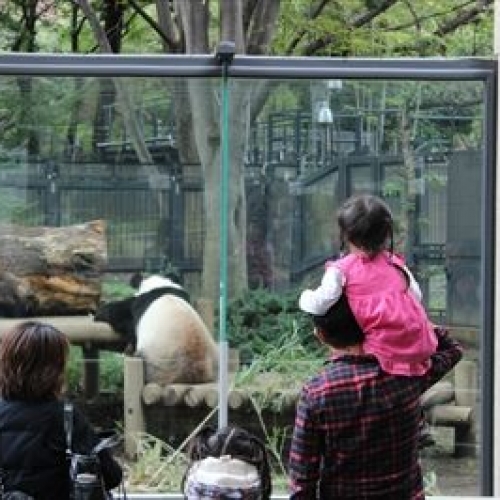 動物園で日本画鑑賞！？いつもと違う動物園の楽しみ方。『藝大 Meets 上野ZOO　Part1 にほんがずぅ』