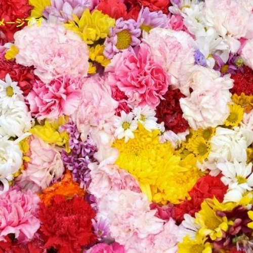 ジローナの花祭り（Temps de Flors）：スペイン