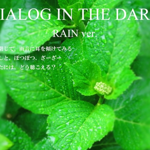 ダイアログ・イン・ザ・ダーク　レインバージョン / Rain ver.