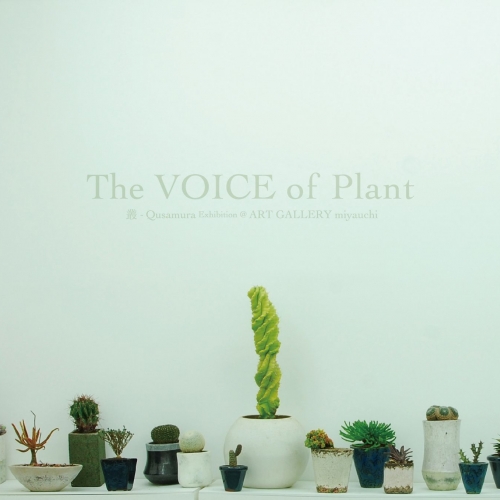 喋る、響く、植物の声。-The VOICE of Plant- 