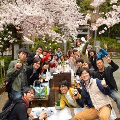 江戸花見名所の桜祭りで50人の桜の名曲大合唱フラッシュモブ花見！