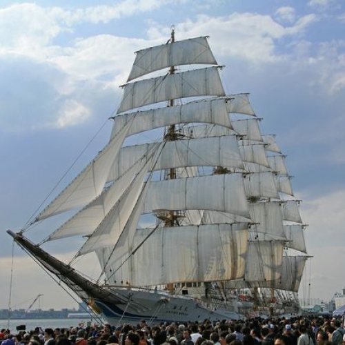 アムステルダム帆船祭り(セイル アムステルダム Sail Amsterdam 2015)：オランダ