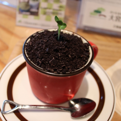 「盆栽カフェ」食べられる土