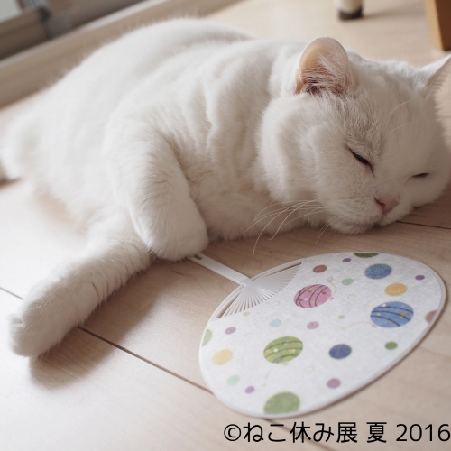 猫の合同写真＆物販展「ねこ休み展 夏 2016」