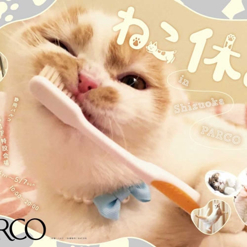 猫の合同写真＆物販展「ねこ休み展」in 静岡パルコ
