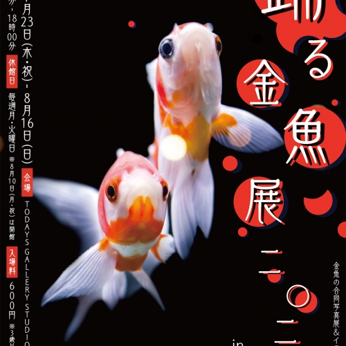 踊る金魚展（名古屋）