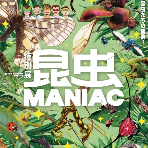 特別展「昆虫MANIAC」