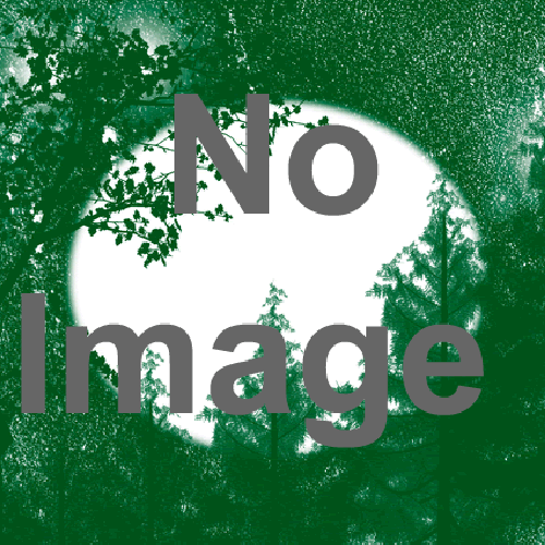 2013年国民文化祭記念企画展　「森ヲ思フ：宮崎学、志鎌猛、ウィン・バロックの写真」  　