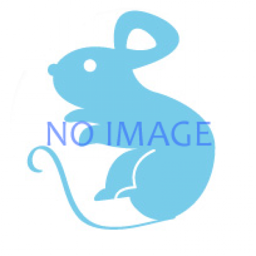 謎解きイベント『講義からの脱出』（大阪）　