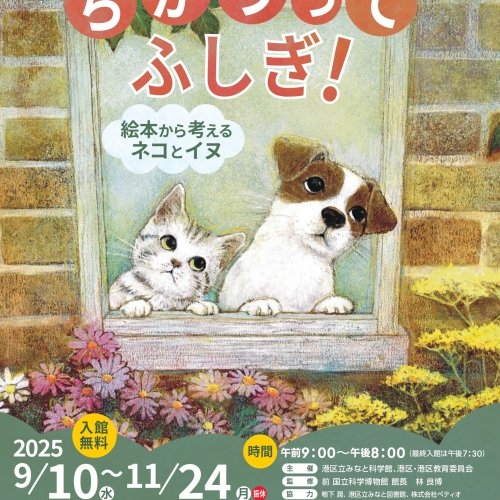 ちがうってふしぎ！ ～絵本から考えるネコとイヌ～